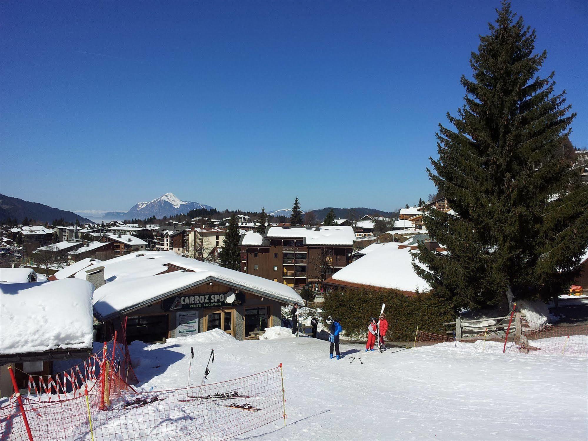 Hotel Chalet Les Airelles Les Carroz d'Araches Kültér fotó